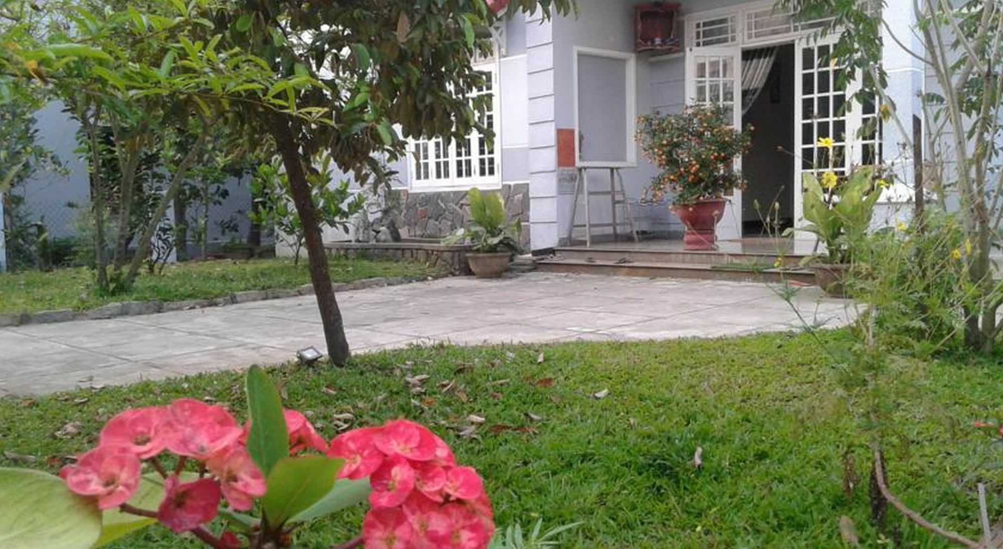 Gingergrass Homestay Hoi An Exterior photo
